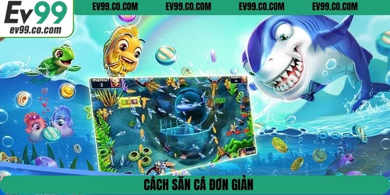 Cách săn cá đơn giản