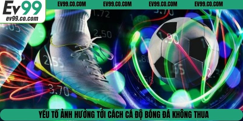 Yếu tố ảnh hưởng tới cách cá độ bóng đá không thua